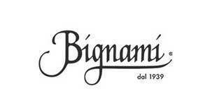 Bignami Logo in Grayscale